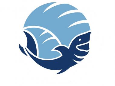 Logo FC Strand